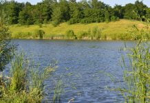 Житель Западного Донбасса незаконно пользовался ставком