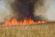 Через горіння стерні довелося евакуйовувати шахтарів