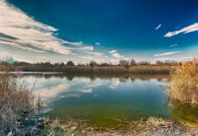 Рыбаки выпустили в Волчью полтонны мальков (ВИДЕО)