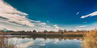 Кто и что сливает в речку Волчья?