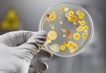 Епідеміологи застерігають: літо — сезон гострих кишкових інфекцій