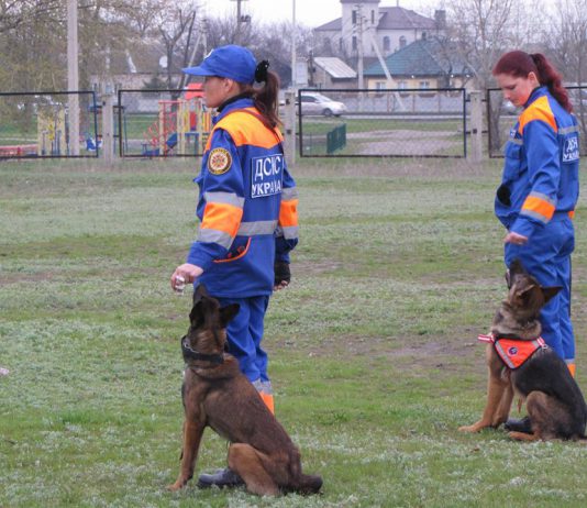Павлоградські кінологи розшукували зниклого чоловіка