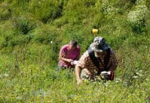 На Мавринському майдані вимірювали магнітне поле