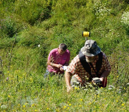На Мавринському майдані вимірювали магнітне поле