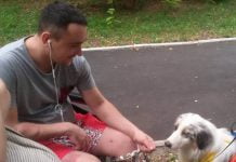 В Павлограде больных лечили собаки