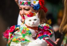 Павлоградцев приглашают отметить День вышиванки