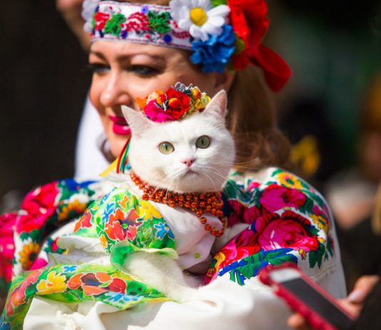 Павлоградцев приглашают отметить День вышиванки