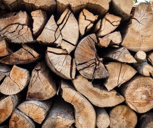 За хабар лісники можуть сісти за ґрати на 10 років