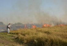 В этом году в Павлограде поймали 8 поджигателей листьев и мусора