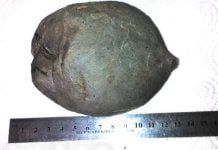 Топ-10 самых дорогих и необычных вещей в Днепропетровской области, которые можно купить в Интернете