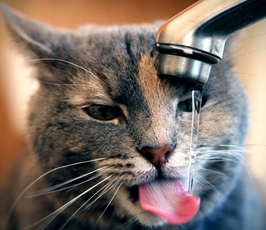 На водоводе «Днепр-Западный-Донбасс» произошла авария, Павлоград использует воду из резервов