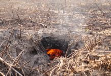 Названы причины, по которым Павлоград задыхается от дыма (ВИДЕО)