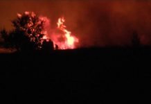 Пожар вблизи Павлограда: «Огонь выше пожарных машин…» (ВИДЕО)