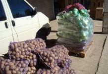 Жители Прикарпатья передали 1 т овощей «Кулинарной сотне «Павлоград Украина»