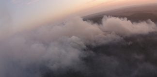 Вблизи Павлограда загорелся хвойный лес (ФОТО)