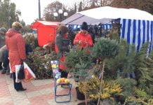 Предпринимателей приглашают размещать свои торговые точки на городских праздниках