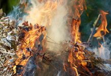 Если листья нельзя сжигать, то куда их девать?