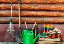 Дачи вблизи Павлограда хотят «присоединить» к городу