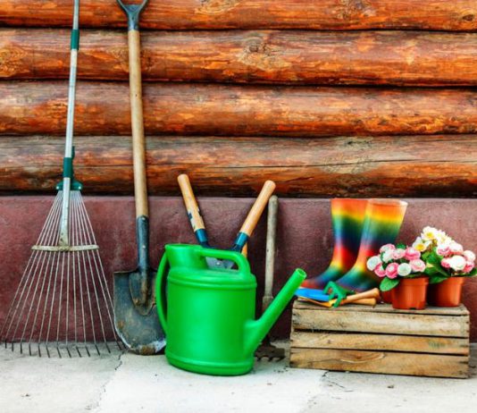 Розпочав свою роботу автобусний маршрут №11 (розклад руху)