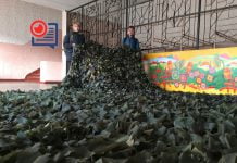 Воспитанники школы №17 передали маскировочную сетку в зону АТО