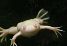 Что жители Днепропетровщины отдают даром? Топ-10 самых удивительных предложений (ФОТО)