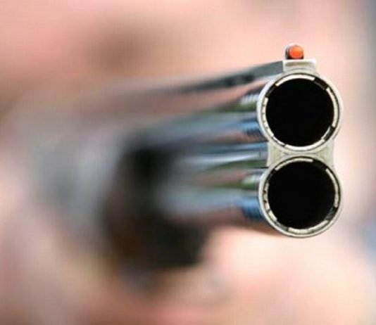 В Першотравенске мужчина застрелил вора, который залез в гараж