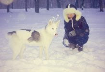 В Павлограде просят создать площадки для выгула собак