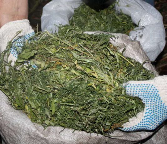 В 2015 году павлоградские правоохранители изъяли почти 24 кг наркотиков