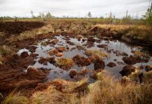 В Павлограде предлагают затопить лиман, чтобы не допустить задымленности