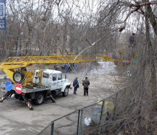 В городском парке прошёл субботник (ФОТО)