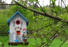 Как сделать скворечник своими руками