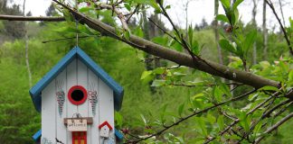 Как сделать скворечник своими руками
