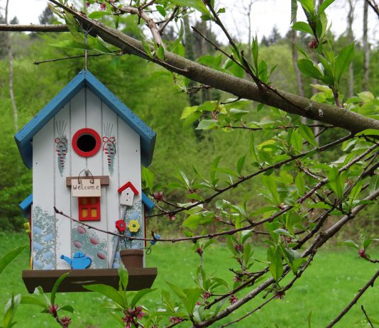 Как сделать скворечник своими руками