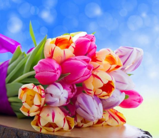 Павлоградцы — вице-чемпионы Европы по акробатическому рок-н-роллу! (ВИДЕО)