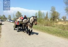 На территорию «водозабора» уже завезли лошадей (ФОТО и ВИДЕО)