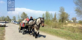 На территорию «водозабора» уже завезли лошадей (ФОТО и ВИДЕО)