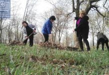 Жители Павлограда вышли на уборку (ФОТОРЕПОРТАЖ)