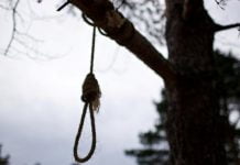 Безвести пропавшего павлоградца нашли повешенным в лесополосе