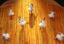 Павлоградская балетная студия получила награды Всеукраинского фестиваля танцев