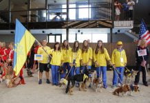 Вопреки всему павлоградцы побывали на Чемпионате мира по аджилити (ВИДЕО)