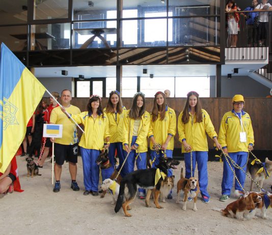 Вопреки всему павлоградцы побывали на Чемпионате мира по аджилити (ВИДЕО)