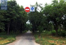 В Павлограде появилась петиция о запрете костров и въезда в парк на машинах