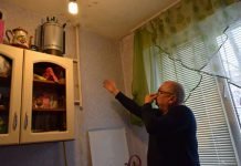 Жильцов со сворой собак не могут выселить из коммунальной квартиры