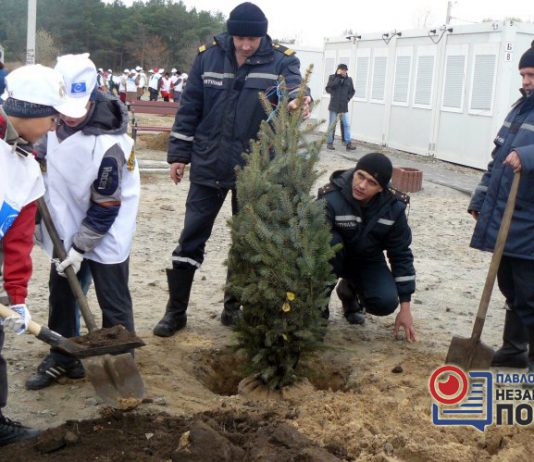 В Павлограде озеленяли модульный городок (ФОТО и ВИДЕО)