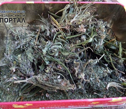 Полиция обнаружила у жителя Павлограда марихуаны на 80 тыс. гривен