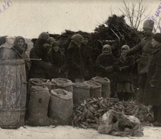 Павлоградщина. Голодомор — боротьба за хліб