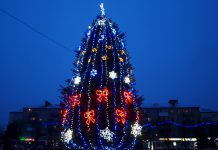 Чи буде ялинка в Павлограді?