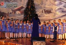 В Павлограде выбирают лучших вокалистов для гала-концерта «Рождественской звёздочки»