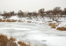 Работников водолазной станции начали увольнять за невыполнение их обязанностей