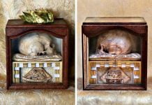 В Павлоград прибывают честные главы мучеников Виктора и Мариана Фивейских